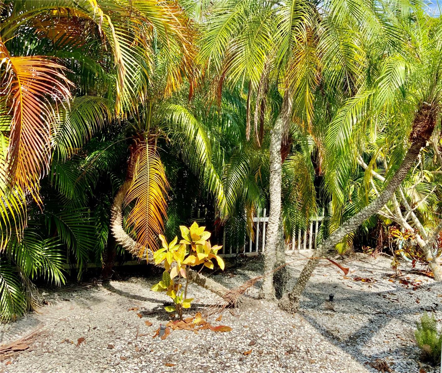 231 HARBOR, HOLMES BEACH,FL MLS a4625818 Anna Maria Island